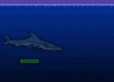 泰拉瑞亚鲨鱼生成位置介绍